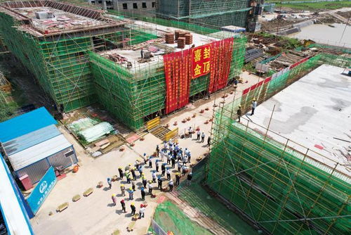 中鐵上海局承建安徽供銷(xiāo)樅陽(yáng)農(nóng)產(chǎn)品項(xiàng)目C16地塊主樓順利封頂，物資供銷(xiāo)協(xié)同助推鄉(xiāng)村振興